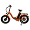 Van mensen staat de Oranje 48v Elektrische Vouwende Fiets van Mini Folding Electric Hybrid Bike met Pedaal Systeem bij