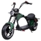 Vette Band Citycoco Elektrisch Harley Scooter 1000w 60v 2000w voor Volwassenen