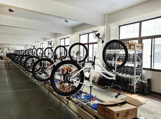 12 Draagbare Elektrische de Fiets48v Batterij van de duimoefening 400 Pond Capaciteits 20km H 11