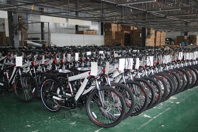 12 Draagbare Elektrische de Fiets48v Batterij van de duimoefening 400 Pond Capaciteits 20km H 13