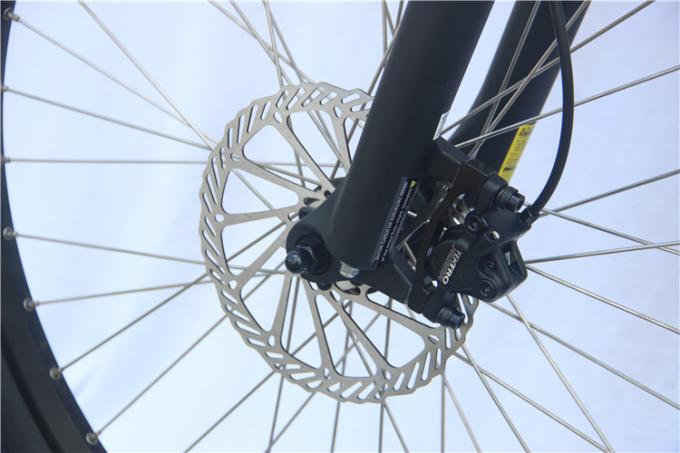 12 Draagbare Elektrische de Fiets48v Batterij van de duimoefening 400 Pond Capaciteits 20km H 1