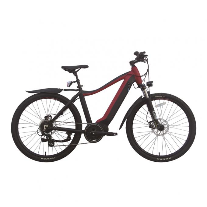 12 Draagbare Elektrische de Fiets48v Batterij van de duimoefening 400 Pond Capaciteits 20km H 0