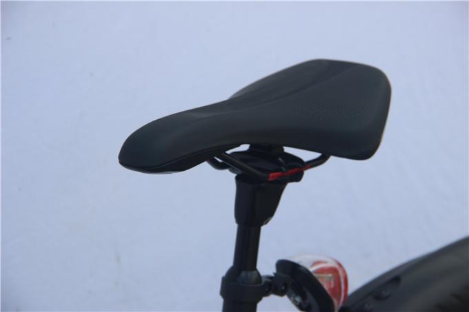 12 Draagbare Elektrische de Fiets48v Batterij van de duimoefening 400 Pond Capaciteits 20km H 4