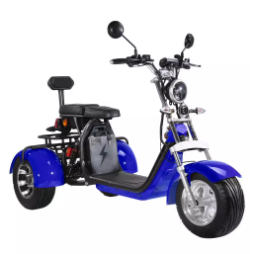 Gemakkelijke Bewegingsmobiliteit 3 Wiel Elektrische Autoped met Seat voor Gehandicapten 6