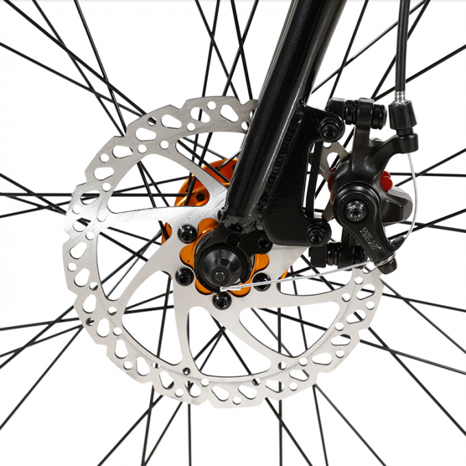 Van de het Vuilfiets 80Nm 36v van Veloelectrique Elektrische het Lithiumbatterij 4