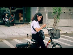 250w goedkope 48v lcd-scherm stad elektrische crossmotor eu 20 inch 36V elektrische fiets