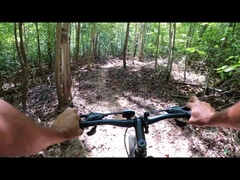 250w 750w dikke bandnaafmotor UK magazijn elektrische fiets 29 in China