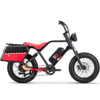 van de de Fietsbatterij 48v 20AH van 250W 750w Elektrische Fiets de Vette Band voor Volwassenen