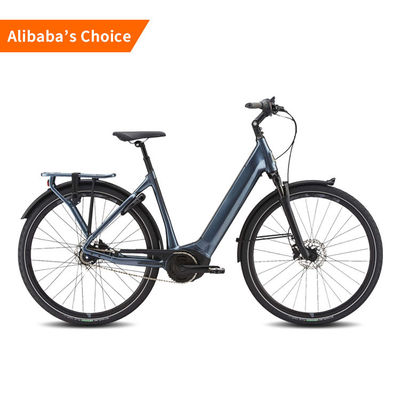 25km/H de Fiets750w Hoge Macht Twee van lange afstand Elektrische City Road Wiel