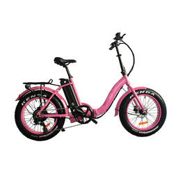Van de de Stadsfiets van enig Seat 36v 200w E Fiets van de de Gepaste kleur de Elektrische Weg