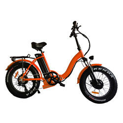 Het Elektrische Hybride de Fiets van de dolfijnvorm 36v 10ah Snelle Laden