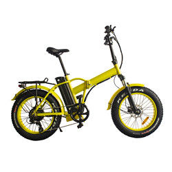 Draagbare Elektrische Fiets 6061 van 48V 500W Legeringsstructuur